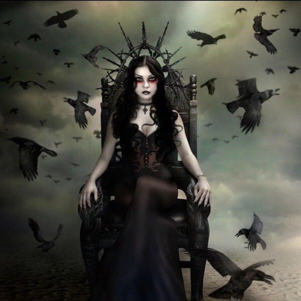 Meet your Posher, Shelby